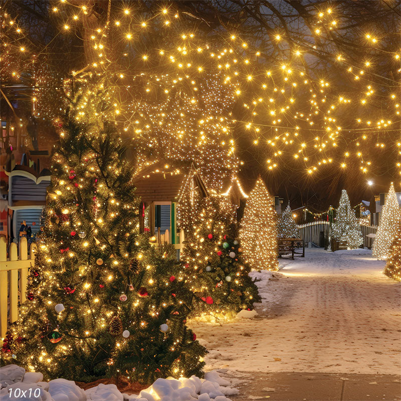 Enchanted Winter Night Christmas Photography Backdrop