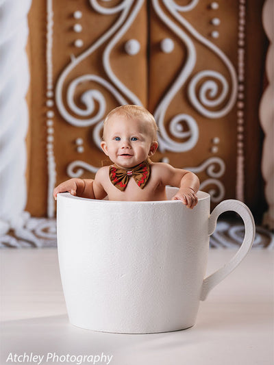 Elegant Gingerbread House Door Backdrop