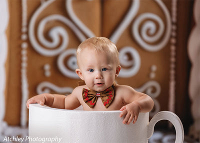 Elegant Gingerbread House Door Backdrop