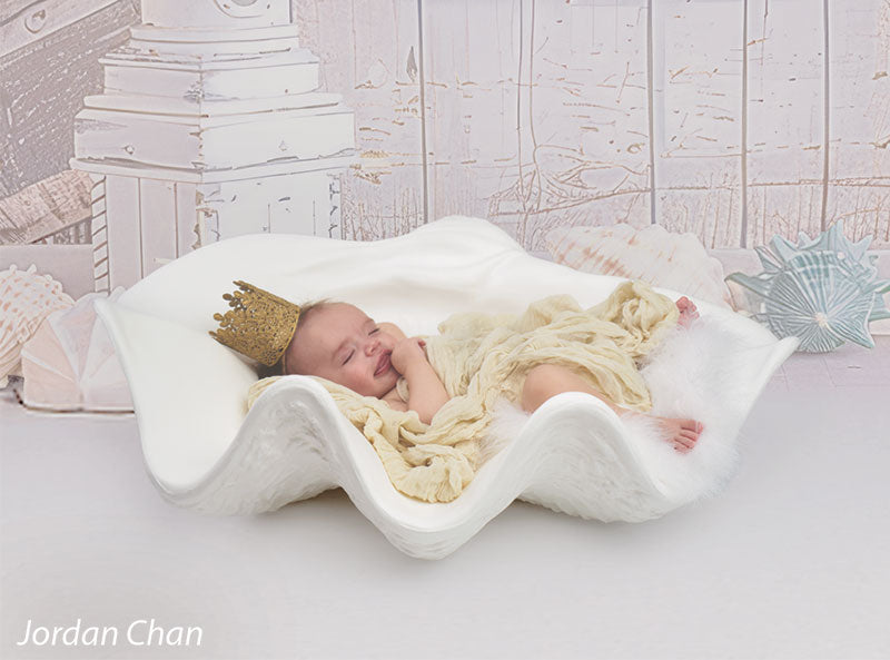 Seahawk Photo Prop Large Seashell Photography Prop - Denny Mfg