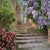 Rustic Stone Staircase with Floral Accents Backdrop