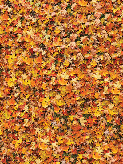 Autumn Lake Backdrop and Maple Leaves Floor Drop Bundle