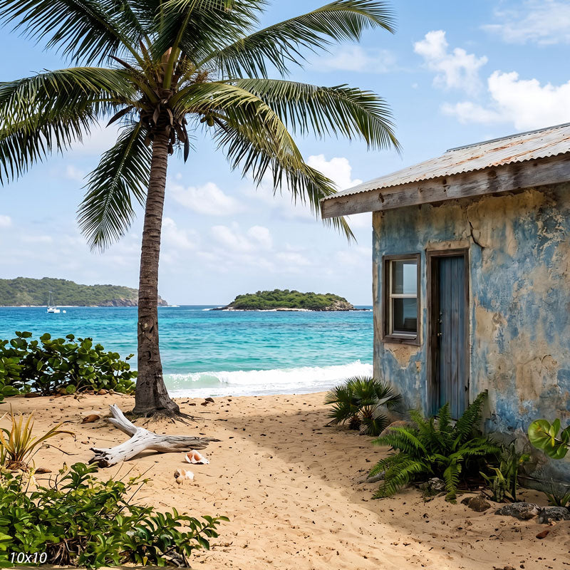 Wider view of the beach showing the palm's full crown, a small sailboat offshore and more of the shack and beach grasses, a scenic photography backdrop.