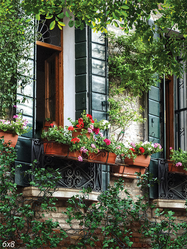 Charming European Window Backdrop - A charming European-style window scene with dark green shutters, terracotta flower boxes brimming with colorful blooms, aged brick walls, and lush greenery creating a serene and inviting atmosphere.