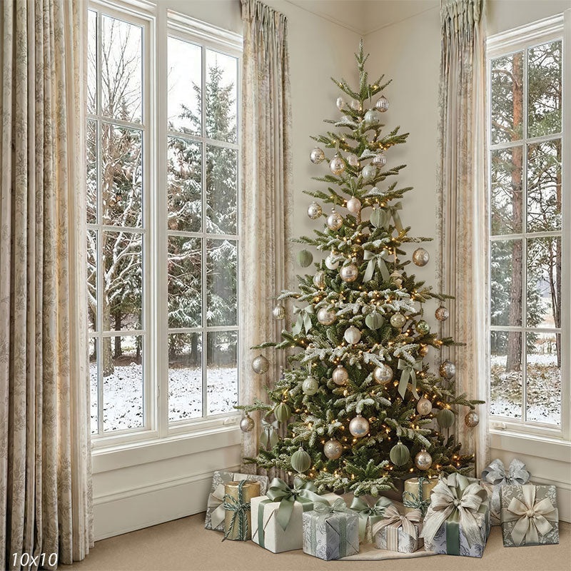 Christmas tree with snow view windows studio background CP-8875