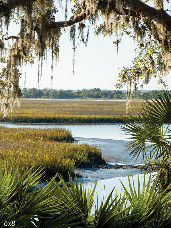 Coastal Marsh Photography Backdrop - Photography backdrop featuring a coastal marsh with lush grasses, a serene waterway, and overhanging Spanish moss.