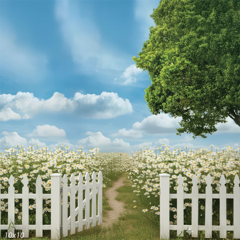 A winding dirt path disappears into a lush field of blooming daisies under a bright blue sky with fluffy white clouds.