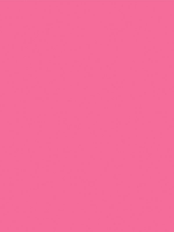 A close-up color swatch of the deep pink seamless photography backdrop for accurate shade reference.