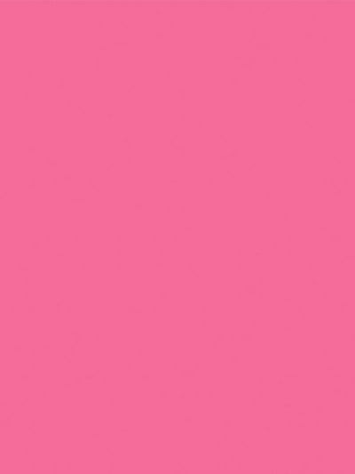 A close-up color swatch of the deep pink seamless photography backdrop for accurate shade reference.