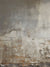 Distressed Grey and Brown Wall Photography Backdrop - A distressed and weathered wall with a blend of grey and brown tones, featuring peeling paint, cracks, and worn patches, creating a rugged, rustic aesthetic.