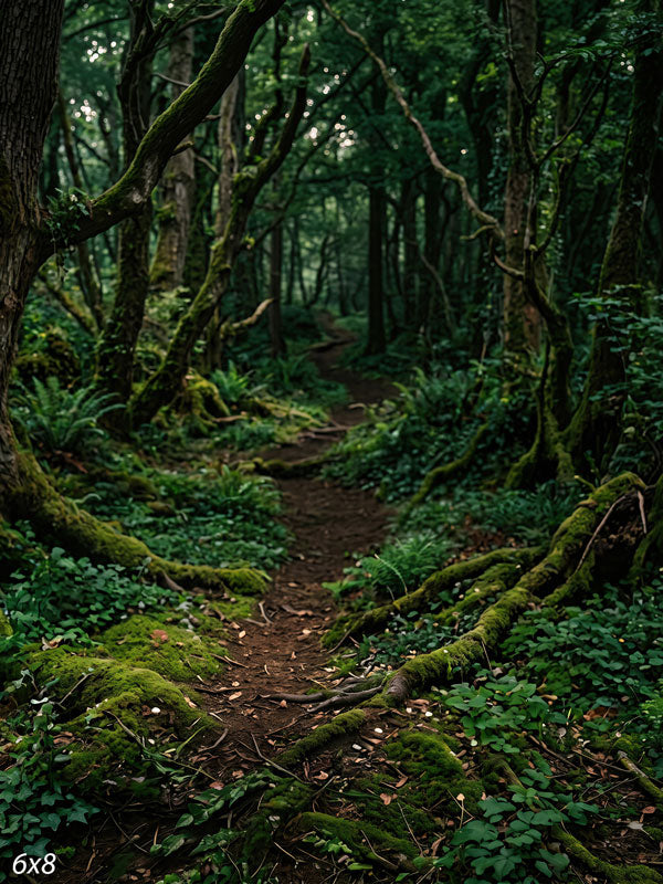 Narrow dirt path winding into a dense forest with moss-covered trunks, roots and ferns under a dim canopy, a scenic photography backdrop.