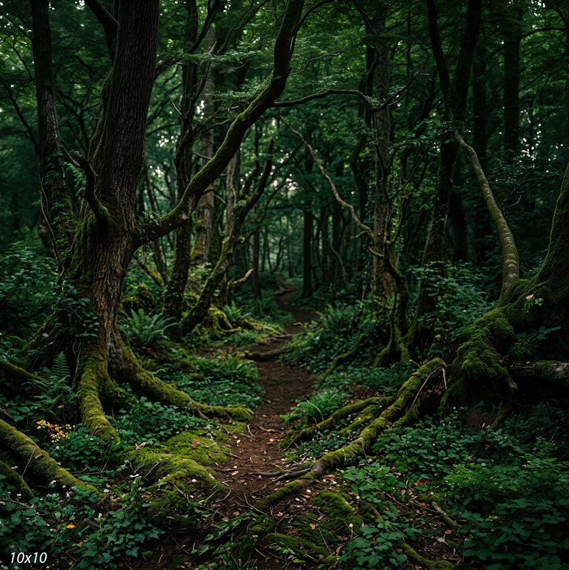 Wider view of the mossy forest showing more full-height trunks, overhead canopy and a broader spread of the mossy floor, a scenic photography backdrop.