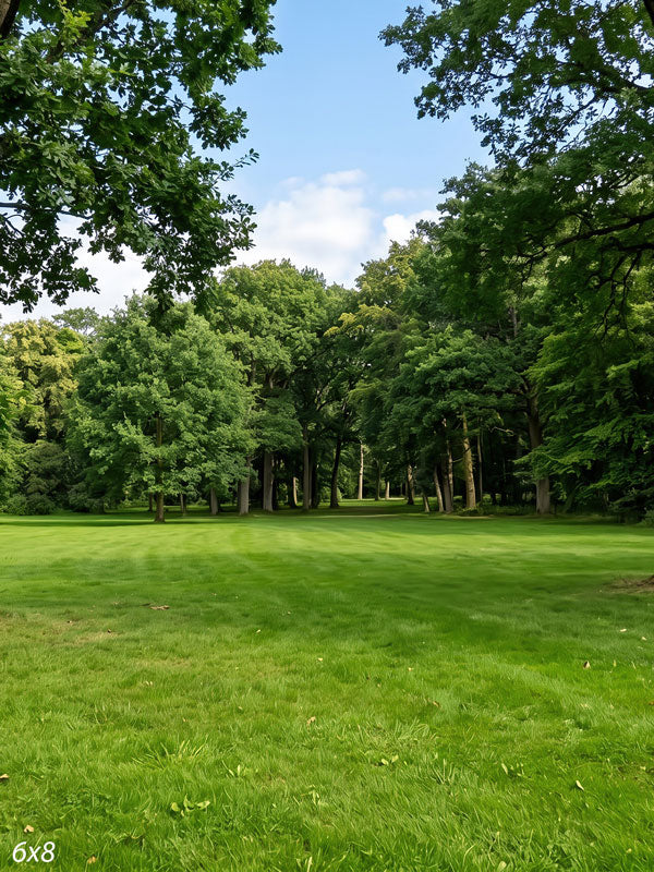 Shaded park clearing of flat green lawn framed by two large trees with dense woodland behind, a scenic photography backdrop.