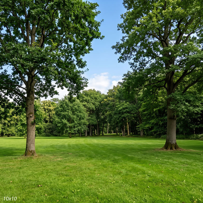 Wider view of the clearing showing both framing trees in full and more of the surrounding woodland, a scenic photography backdrop.