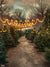 Festive Christmas Tree Pathway Photography Backdrop - Pathway lined with Christmas trees adorned with string lights, a canopy of twinkling lights strung above, and softly blurred trees in the background, creating a magical and festive holiday atmosphere.