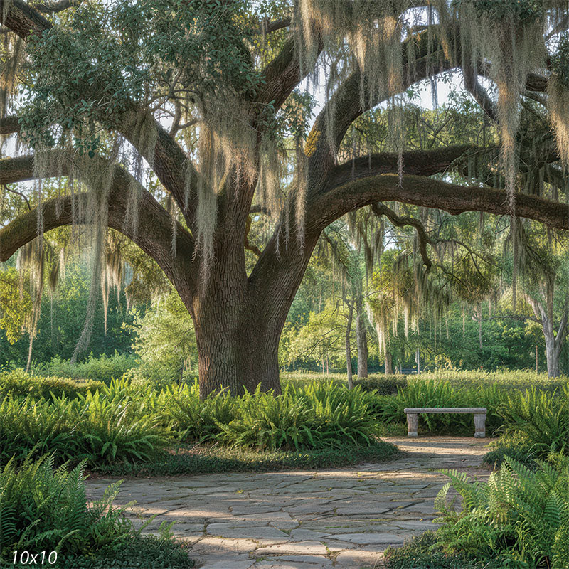 A photography backdrop featuring a massive tree trunk and paved walkway. Green ferns line the path leading to a bench.