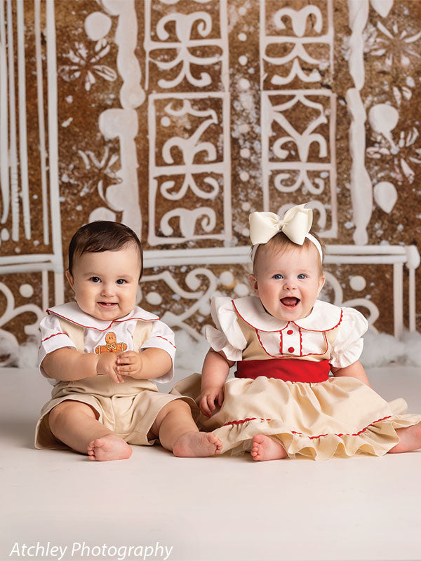 A Christmas-themed photography backdrop featuring an intricately decorated gingerbread house with swirling icing and festive accents.