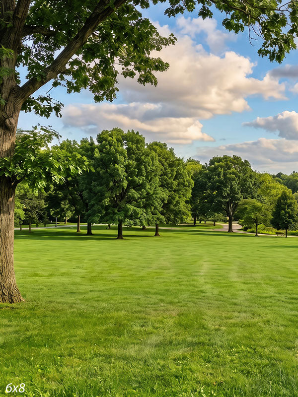 Broad open park lawn under a blue sky with a large shade tree arching in from one side, a scenic photography backdrop.