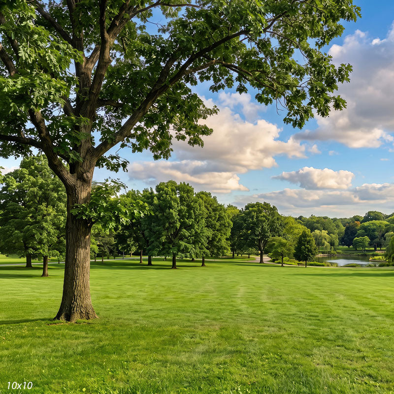 Wider view of the park showing the full foreground tree and a small pond and path along one side, a scenic photography backdrop.