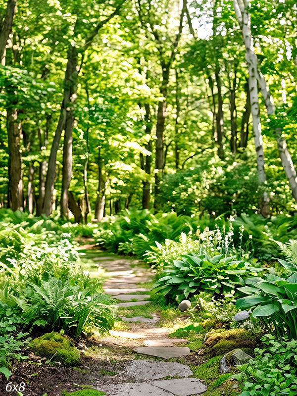 Flagstone path winding through a sunlit green woodland with fern and hosta beds, moss-covered stones and a white birch trunk, a photography backdrop.
