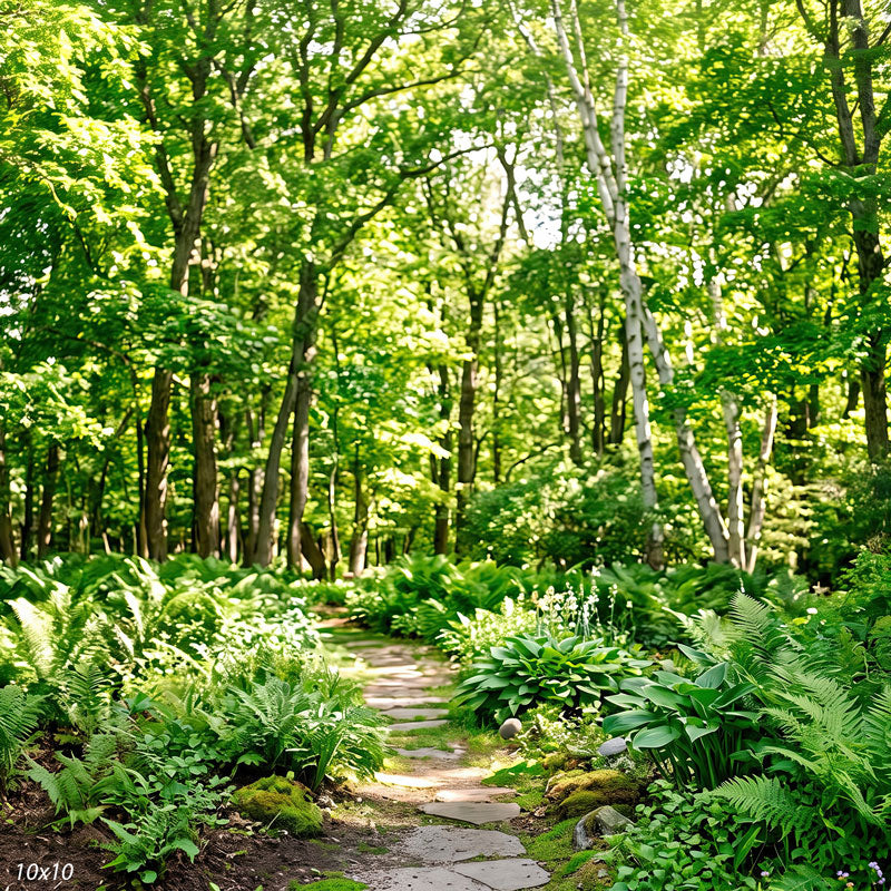 Wider view of the green woodland path showing more of the sunlit canopy and the fern beds along both sides, a scenic photography backdrop.