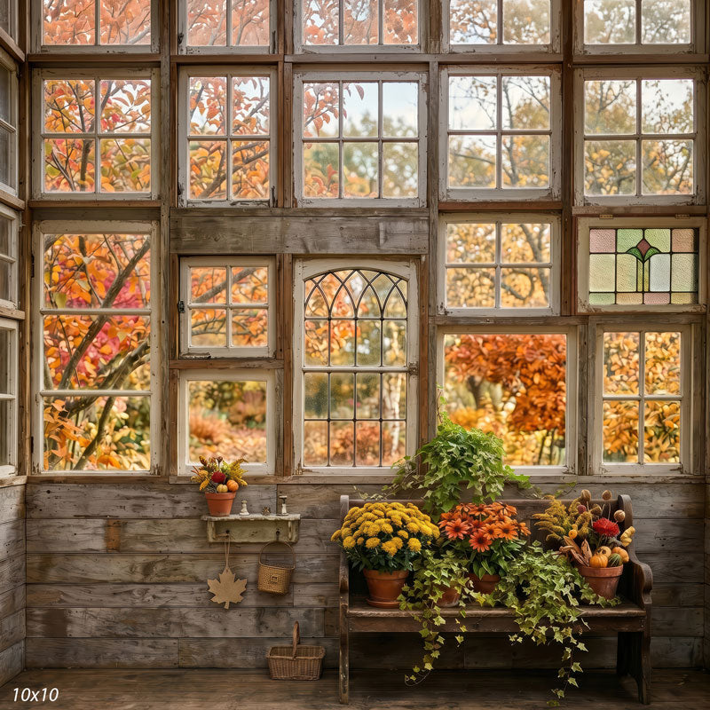 Harvest Window rustic potting room autumn mums and ivy wide scene backdrop CP-8964