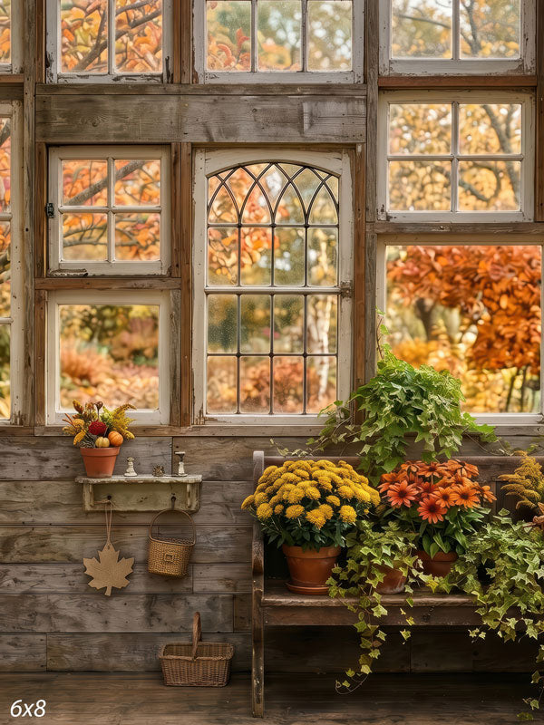 Harvest Window rustic window with autumn mums photography backdrop CP-8964