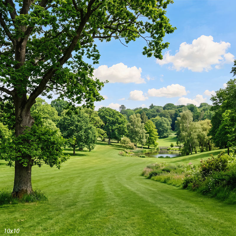 Wider view of the parkland showing the full foreground oak and more of the rolling valley and trees, a scenic photography backdrop.