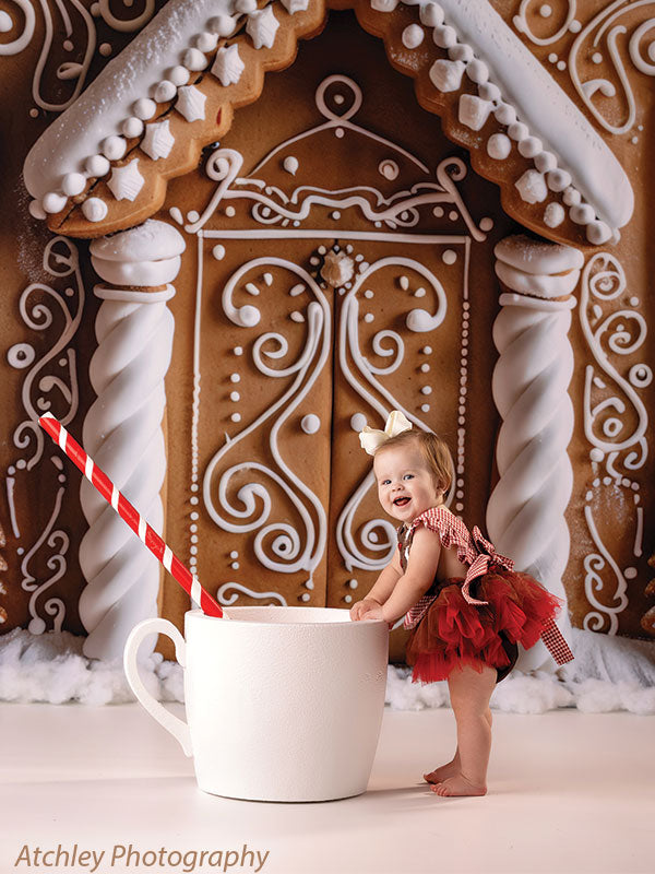 A stunning holiday photography backdrop featuring a gingerbread doorway with hand-piped royal icing scrollwork, twisted candy cane-style columns, and frosted rooftop detailing.