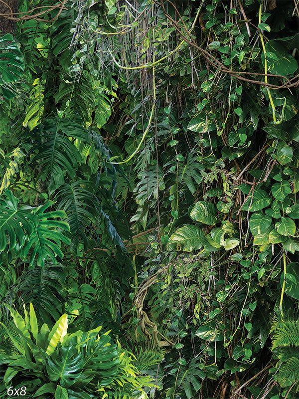 Jungle Greenery Photography Backdrop - Jungle greenery photography backdrop featuring a mix of Monstera leaves, climbing vines, and other tropical plants.