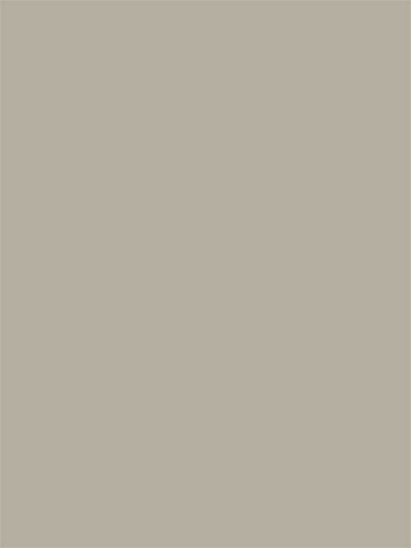 Seamless solid light gray photography backdrop—ideal for school portraits, headshots, and dance studio sessions.