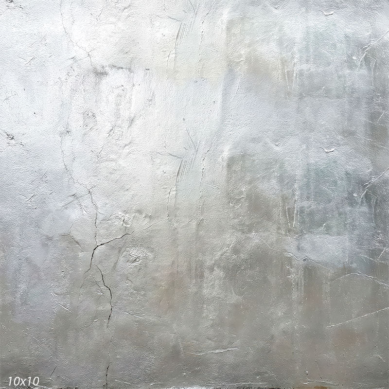 This studio background shows pale gray and off-white plaster texture with gentle tonal washes, fine hairline cracking, and a matte surface appearance.