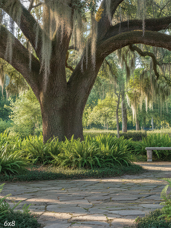 A studio background showing a large oak tree with Spanish moss hanging over a stone path. Ferns and a stone bench sit in the shade.