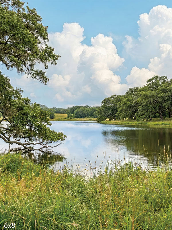 Printed photography backdrop showing a calm lake bordered by tall grasses, a large live oak tree, and a distant tree line under a bright blue sky with white clouds. The studio background has reflective water and layered natural landscape detail.