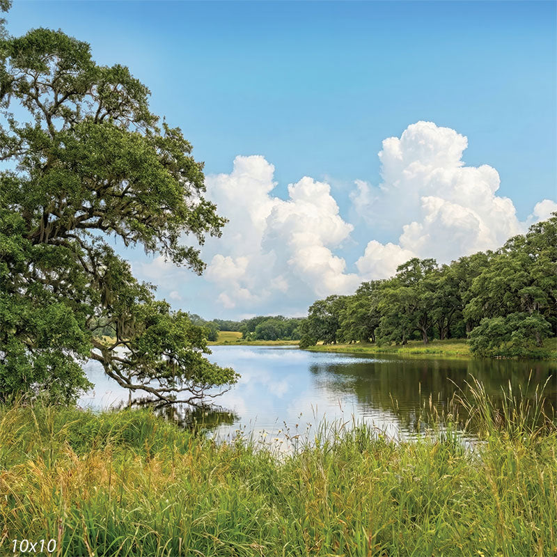 Printed photography backdrop featuring a lakeside scene with a broad live oak, open water, tall grass, and a distant tree line beneath large white clouds. The studio background creates a calm natural setting with gentle depth.