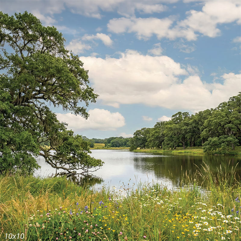 Printed photography backdrop featuring a lakeside scene with a broad live oak, open water, tall grass, and scattered wildflowers beneath a bright cloud-filled sky. The studio background creates a calm natural setting with gentle depth.