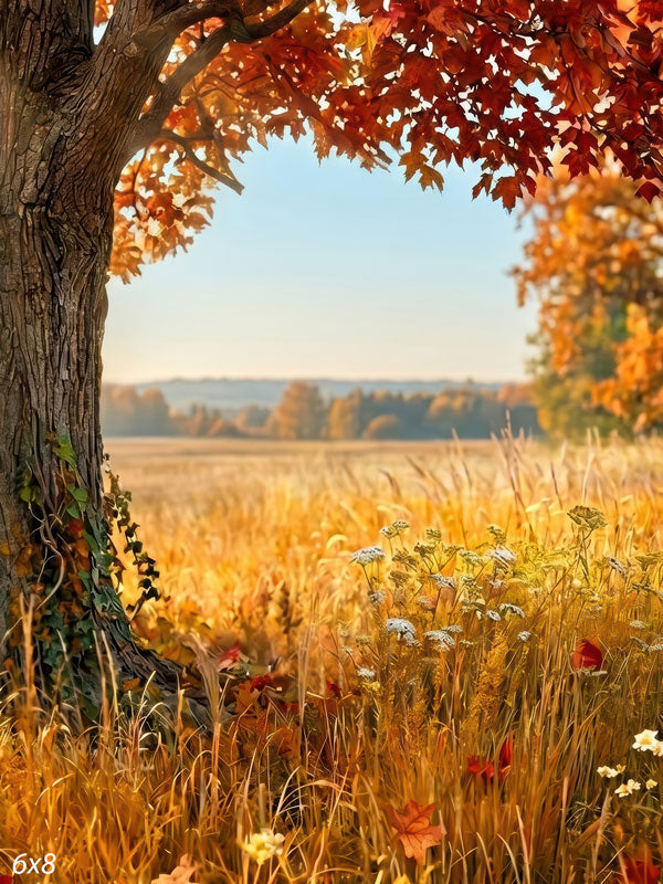 Maple Field golden autumn maple field photography backdrop CP-9027