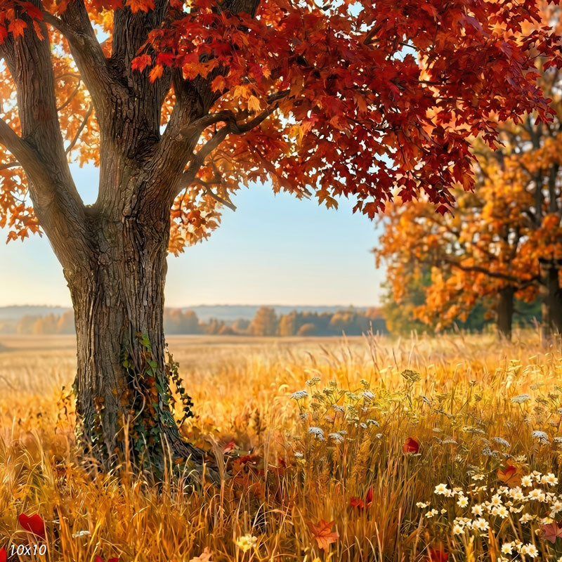 Maple Field red maple over golden meadow wide scene backdrop CP-9027