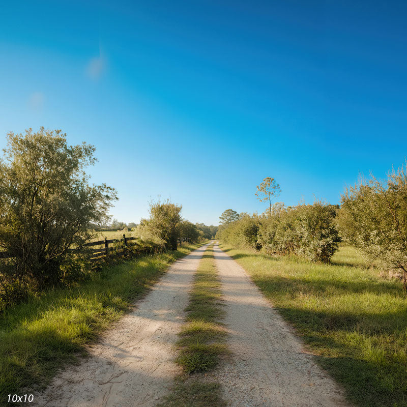 Wider view of the country lane showing more of the grassy field, trees, and rustic fence under a clear sky, an outdoor photography backdrop.