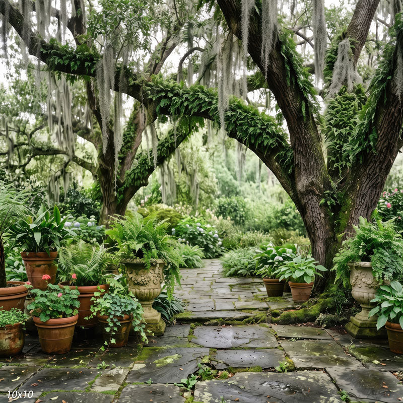 Wider view of the live oak garden showing the massive mossy oak trunk and canopy and more potted ferns along the stone patio, a scenic photography backdrop.