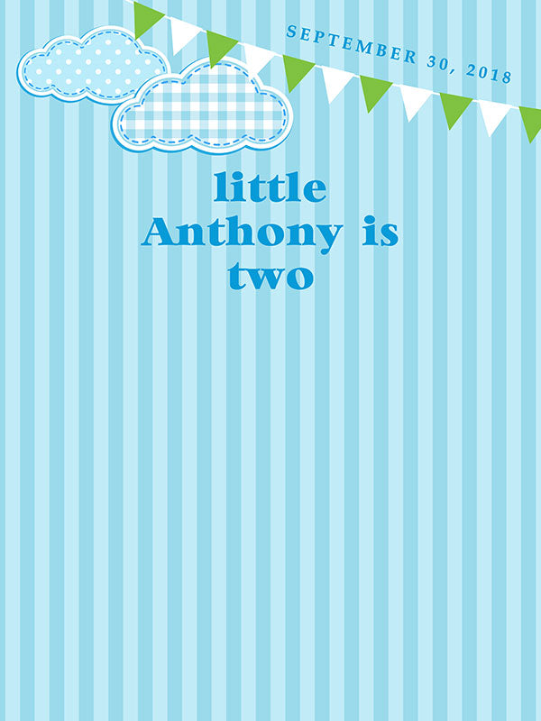 Custom Boy Birthday Backdrop