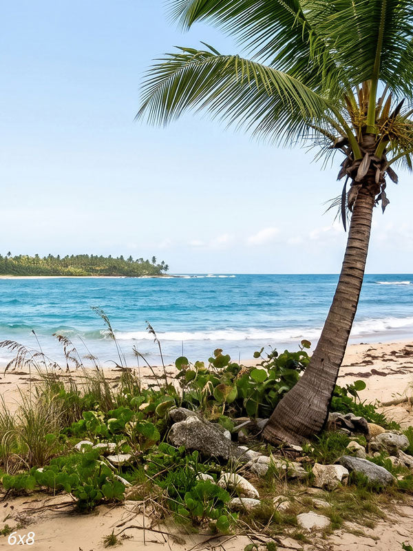 Sunny tropical beach with a leaning coconut palm over white sand and turquoise surf and a forested point across the bay, a scenic photography backdrop.