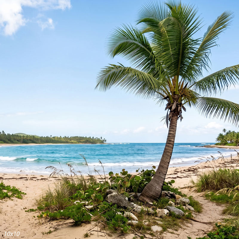 Wider view of the tropical beach showing the palm's full crown and more of the curving bay and coastline, a scenic photography backdrop.