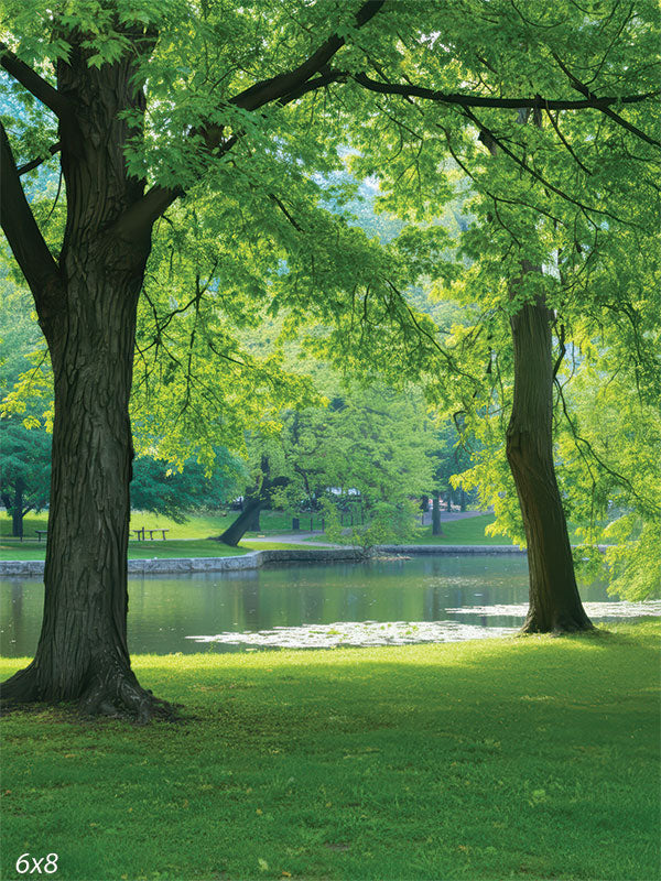 A shaded green lawn with two mature trees opening to a calm pond in bright summer light. Soft highlights filter through the leaves, creating a peaceful park setting.