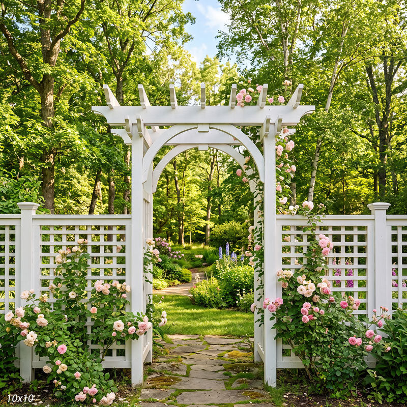 Wider view of the white rose arbor showing more of the lattice fencing, rose bushes and the shaded garden path beyond, a photography backdrop.