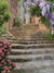 A rustic stone staircase adorned with blooming pink roses and cascading purple wisteria, perfect for spring-themed photography.