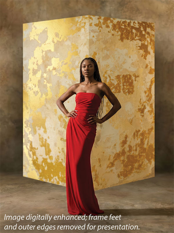 Denny StudioEdge 4-Ft Corner Backdrop Bundle