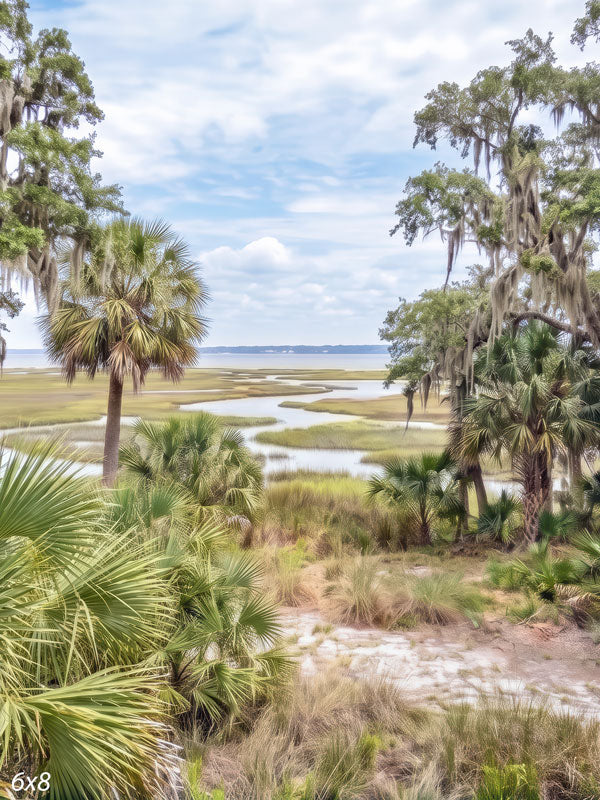 Coastal marsh photography backdrop with palmettos and moss-draped oaks framing winding tidal creeks and golden marsh grass under a bright cloudy sky.