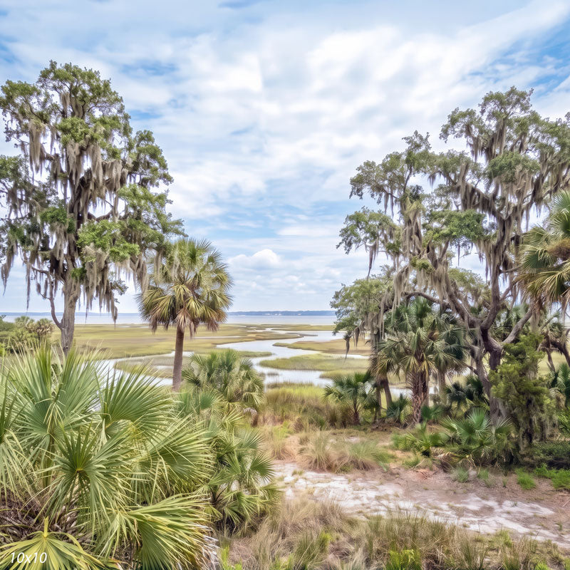 Coastal marsh photography backdrop shown wider, with more sky, a distant shoreline, and tidal creeks winding through the open lowcountry marsh.