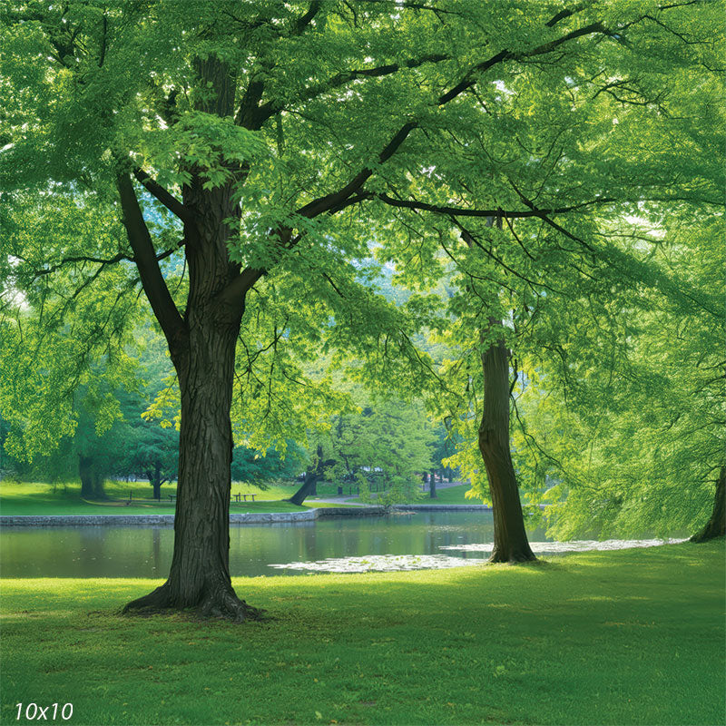 A view of a sunlit park with tall leafy trees, soft shade in the foreground, and still reflective water behind them. The scene feels quiet, warm, and naturally inviting.